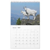 Der entscheidende Ziegen-Kalender Kalender (Jan 2027)