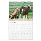 Der entscheidende Ziegen-Kalender Kalender (Mär 2027)
