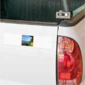DER ERIESEE AUTOAUFKLEBER (Auf Lkw)