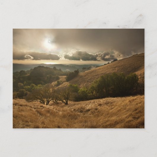 Der erste Regen der Saison Postkarte (Vorderseite)