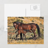 Der erste Tag Postkarte (Vorne/Hinten)
