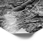 Der Erste Weltkrieg in Argonne Vintag Fotodruck (Ecke)