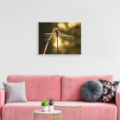 DER ERSTFLUG DER LIBELLE LEINWANDDRUCK (Insitu (Wohnzimmer))