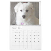 Der ERU 2014 Kalender (Feb 2026)