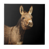 Der Esel Fliese (Vorderseite)