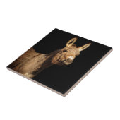 Der Esel Fliese (Seite)