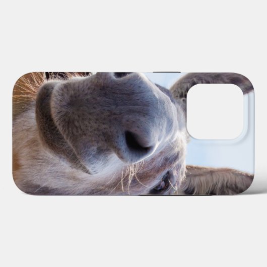 Der Esel lächeln mit Albernem Grin Case-Mate iPhone Hülle (Rückseite (Horizontal))