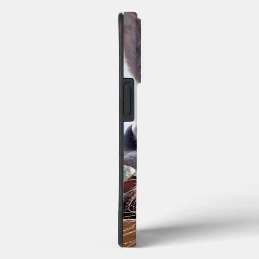 Der Esel lächeln mit Albernem Grin Case-Mate iPhone Hülle (Rückseite / Rechts)