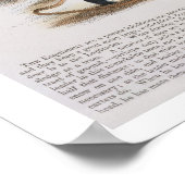 Der Esquimaux Dog (Canis familiaris) lehrt Poster (Ecke)