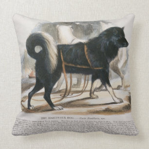 Der Esquimaux Hund (Canis familiaris) Kissen