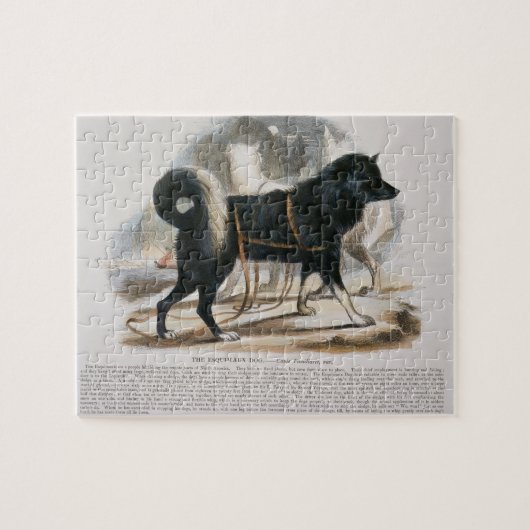 Der Esquimaux Hund (Canis familiaris) Puzzle (Horizontal)