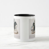 Der Esquimaux Hund (Canis familiaris) Tasse (Zentrum)