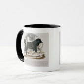 Der Esquimaux Hund (Canis familiaris) Tasse (Vorderseite Links)