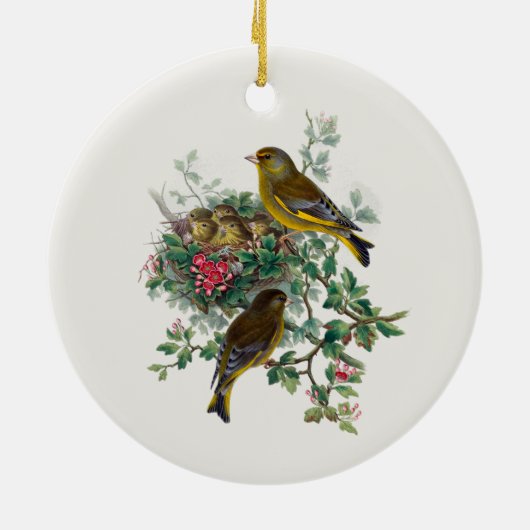 Der europäische Greenfinch, Baum Keramik Ornament (Hinten)