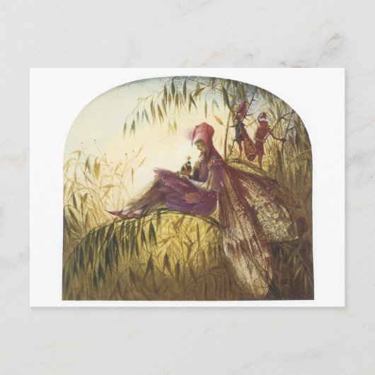 Der Fairy Falconer Bird Postkarte (Vorderseite)