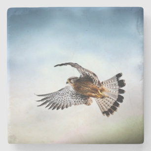 Der Falcon schießt in den Himmel Steinuntersetzer