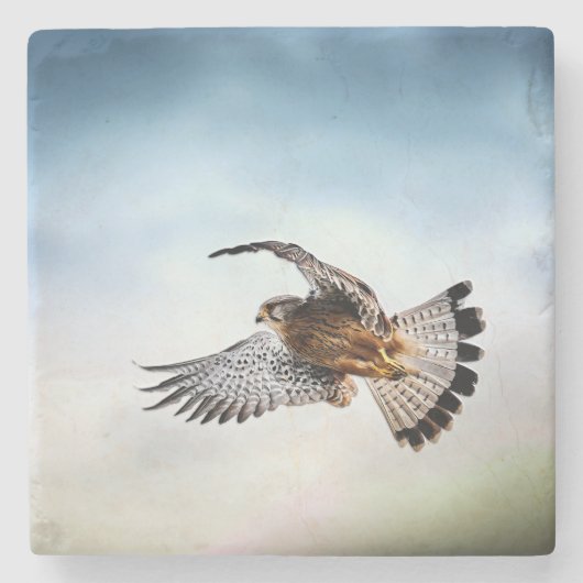 Der Falcon schießt in den Himmel Steinuntersetzer (Vorderseite)