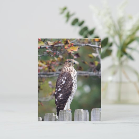 Der Falke des Fassbinders Postkarte (Stehend Vorderseite)