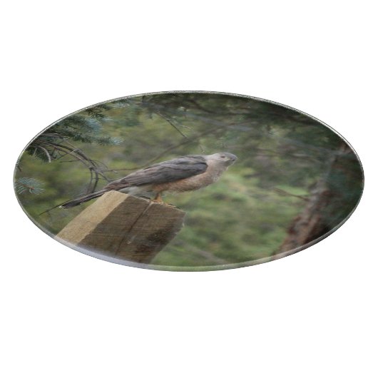 Der Falke des Fassbinders Schneidebrett (Ecke)