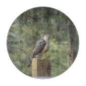 Der Falke des Fassbinders Schneidebrett (Vorderseite)