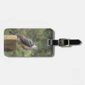 Der Falke-Gepäckanhänger des Fassbinders Gepäckanhänger (Vorderseite horizontal)