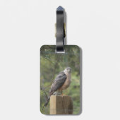 Der Falke-Gepäckanhänger des Fassbinders Gepäckanhänger (Rückseite vertikal)