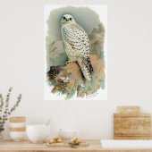 Der Falke Poster (Küche)