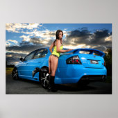 Der Falke Poster (Vorne)