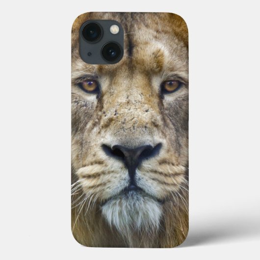 Der Fall Boss iPad Case-Mate iPhone Hülle (Rückseite)