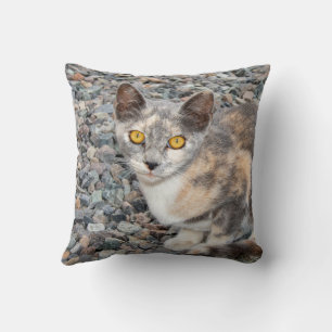 Der Fall Cat Pillow Kissen