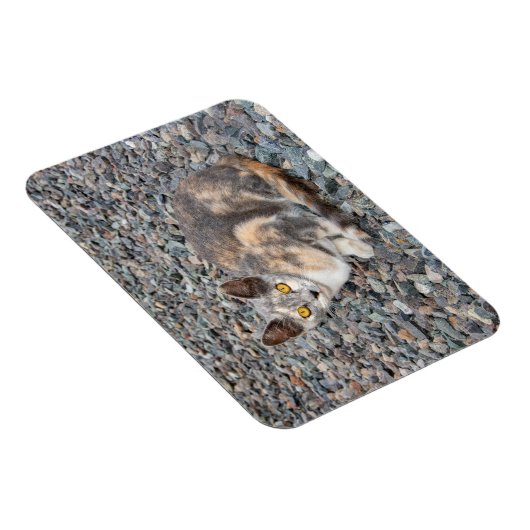 Der Fall Cat Pillow Magnet (Rechte Seite)