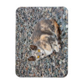 Der Fall Cat Pillow Magnet (Vertikal)