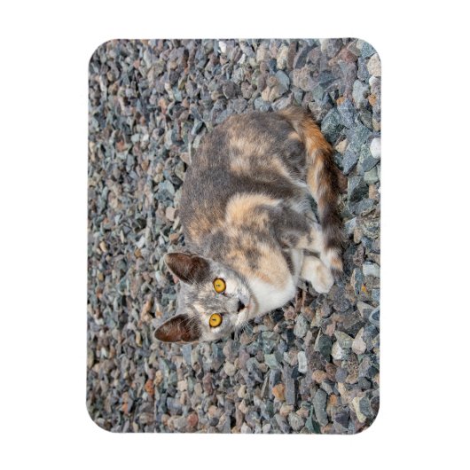 Der Fall Cat Pillow Magnet (Vertikal)