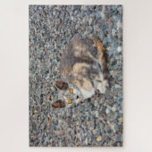 Der Fall Cat Pillow Puzzle (Vertikal)