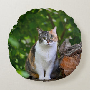 Der Fall Cat Pillow Rundes Kissen