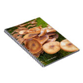 Der Fall der Pilze Notizblock (Rechte Seite)