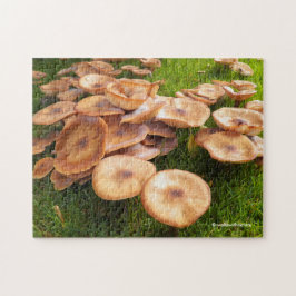 Der Fall der Pilze Puzzle