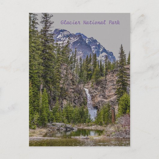 Der Fall des Adlers im Frühling Postkarte (Vorderseite)