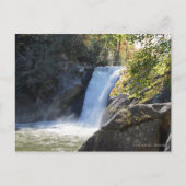 Der Fall des Elchs in den Blue Ridge Mountains Nor Postkarte (Vorderseite)