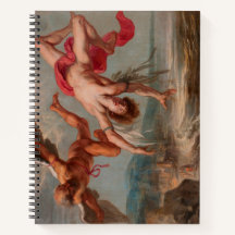 Der Fall Ikarus (von Jakob Peter Gowy)