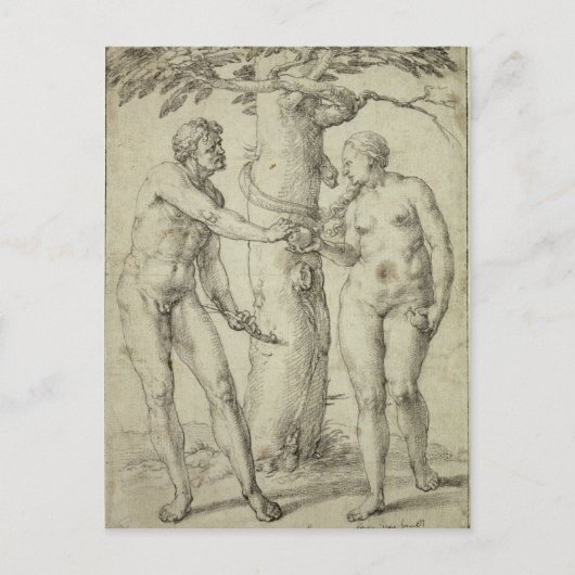 Der Fall Postkarte (Vorderseite)