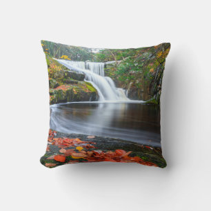 Der Fall von Ender Kissen