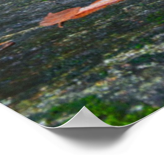 Der Fall von Ender Poster (Ecke)