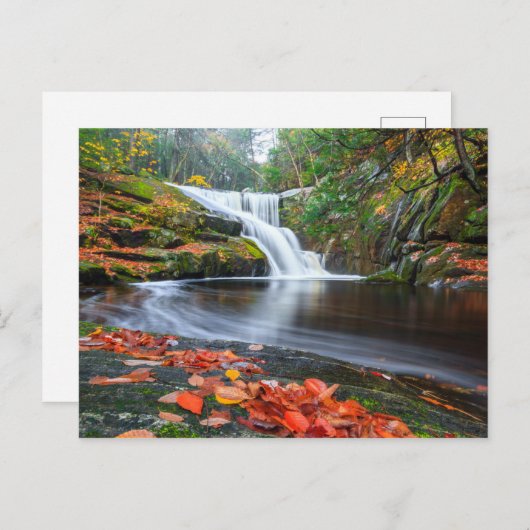 Der Fall von Ender Postkarte (Vorne/Hinten)