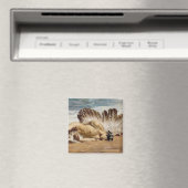 Der Fall von Icarus Magnet (In Situ (Geschirrspüler))