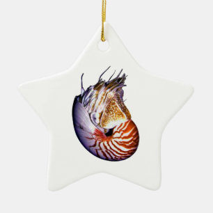 DER FANTASTISCHE NAUTILUS KERAMIKORNAMENT