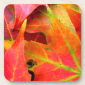Der farbenfrohe Herbst lässt nach. Getränkeuntersetzer (Vorderseite)