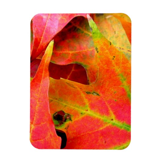 Der farbenfrohe Herbst lässt nach. Magnet (Vertikal)