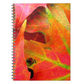 Der farbenfrohe Herbst lässt nach. Notizblock (Vorderseite)