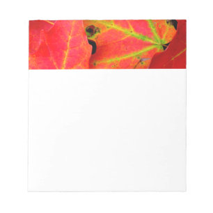 Der farbenfrohe Herbst lässt nach. Notizblock